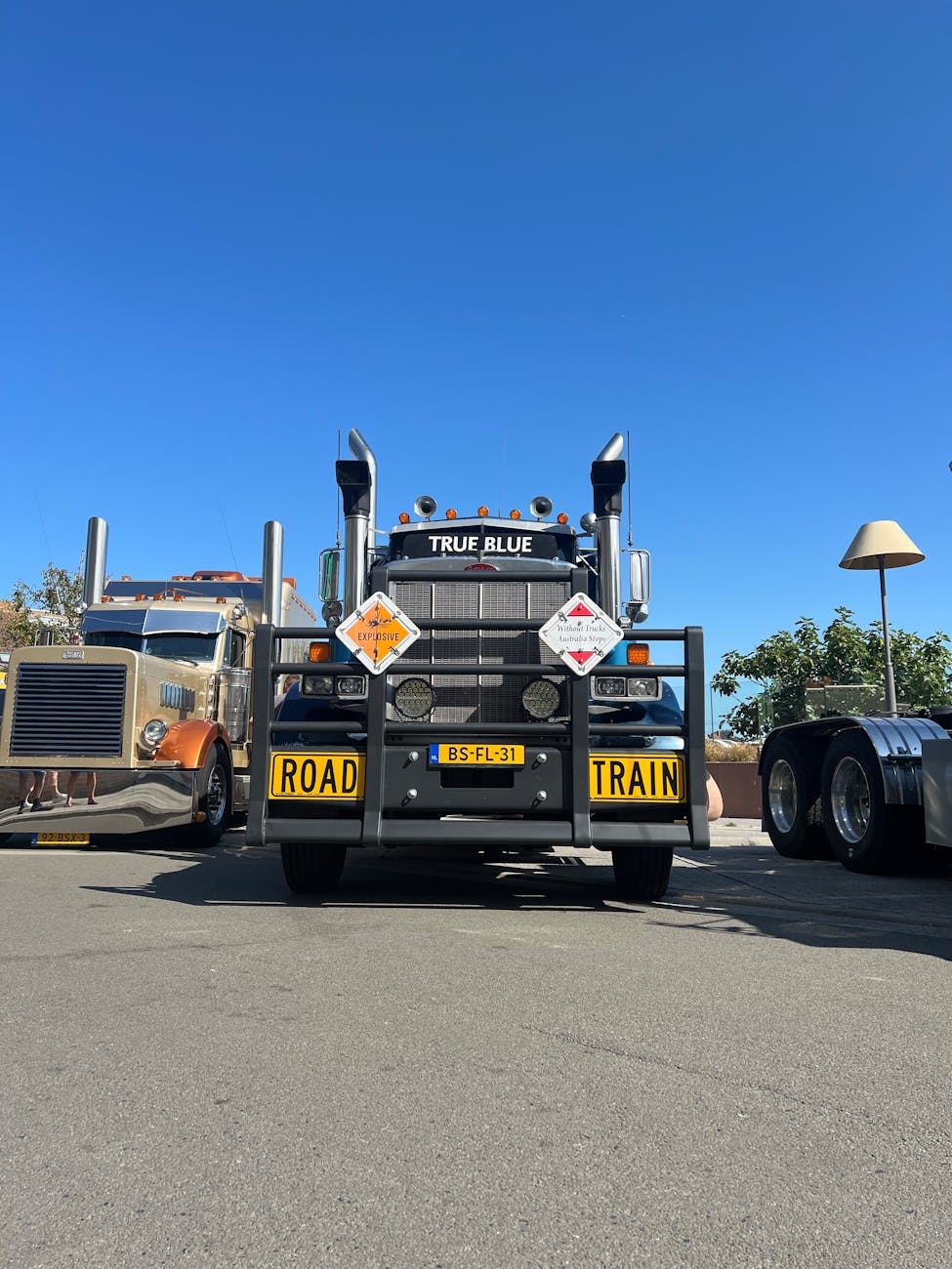 Affordable Car Shipping: 3 Essential Facts 3 Must Know Facts About Affordable Car Shipping 1759033073