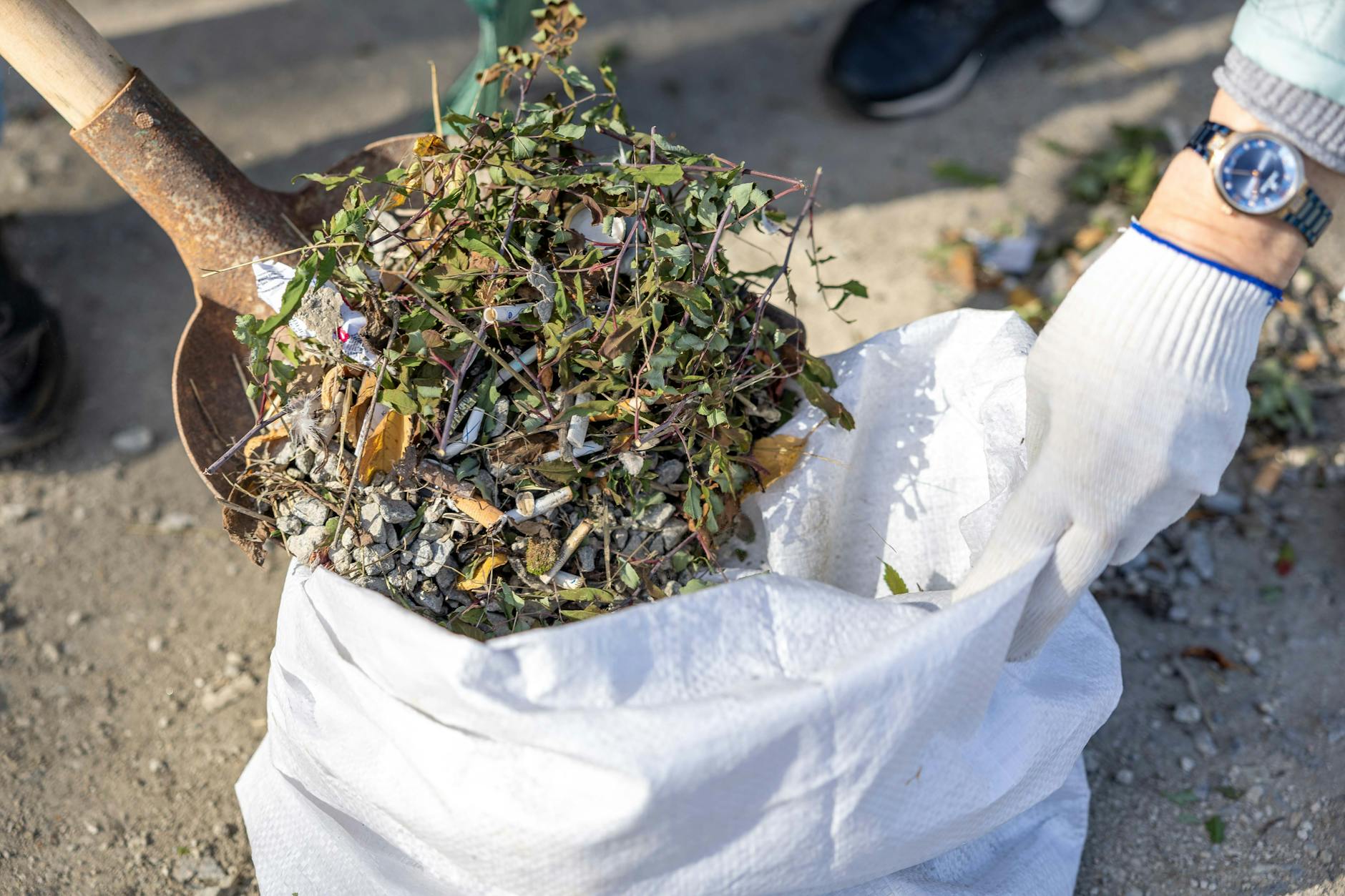Waste Clearance Made Effortless: 5 Reasons to Choose F1 Removals Close-up of a person cleaning up weeds with a shovel and a garbage bag outdoors.