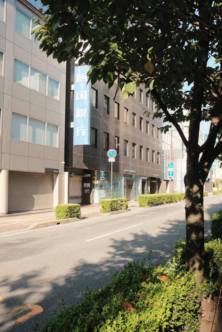 Office Waste Clean-Up: Affordable Solutions for a Clutter-Free Workspace Sunlit urban street with modern buildings and lush greenery, creating a peaceful daytime setting.