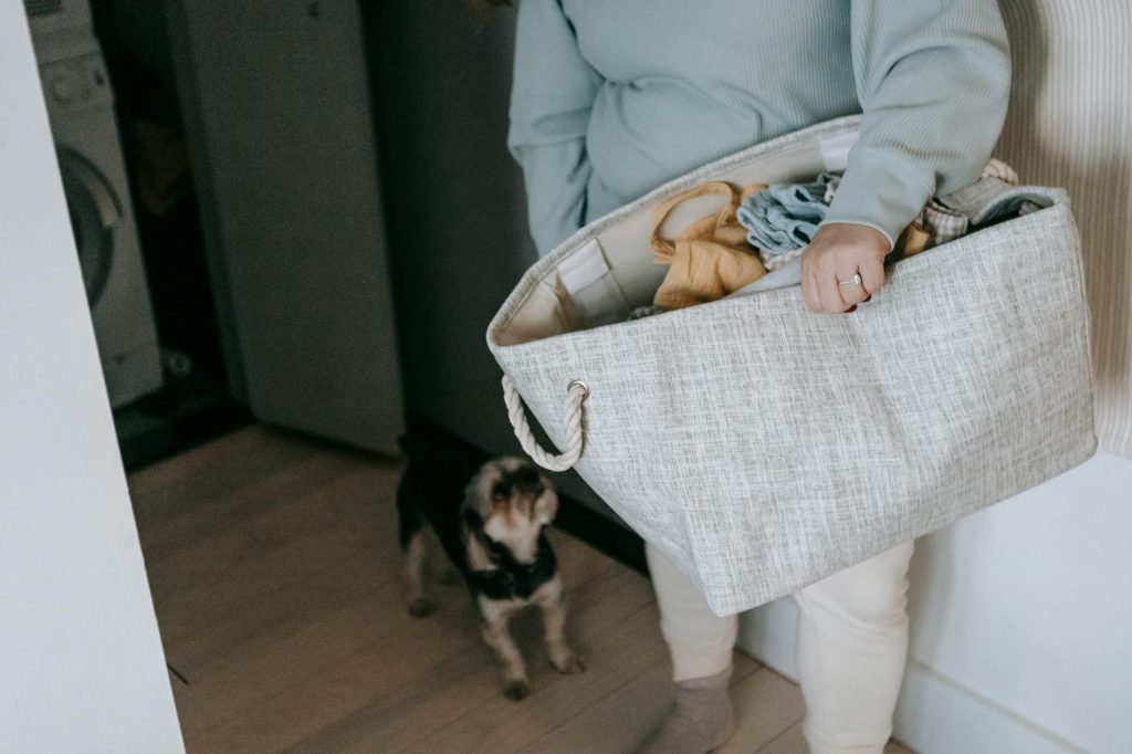 Budget-Friendly Tips for Effortless Small Apartment Moving A woman carries a laundry basket with clothes, accompanied by a small dog in a modern home.